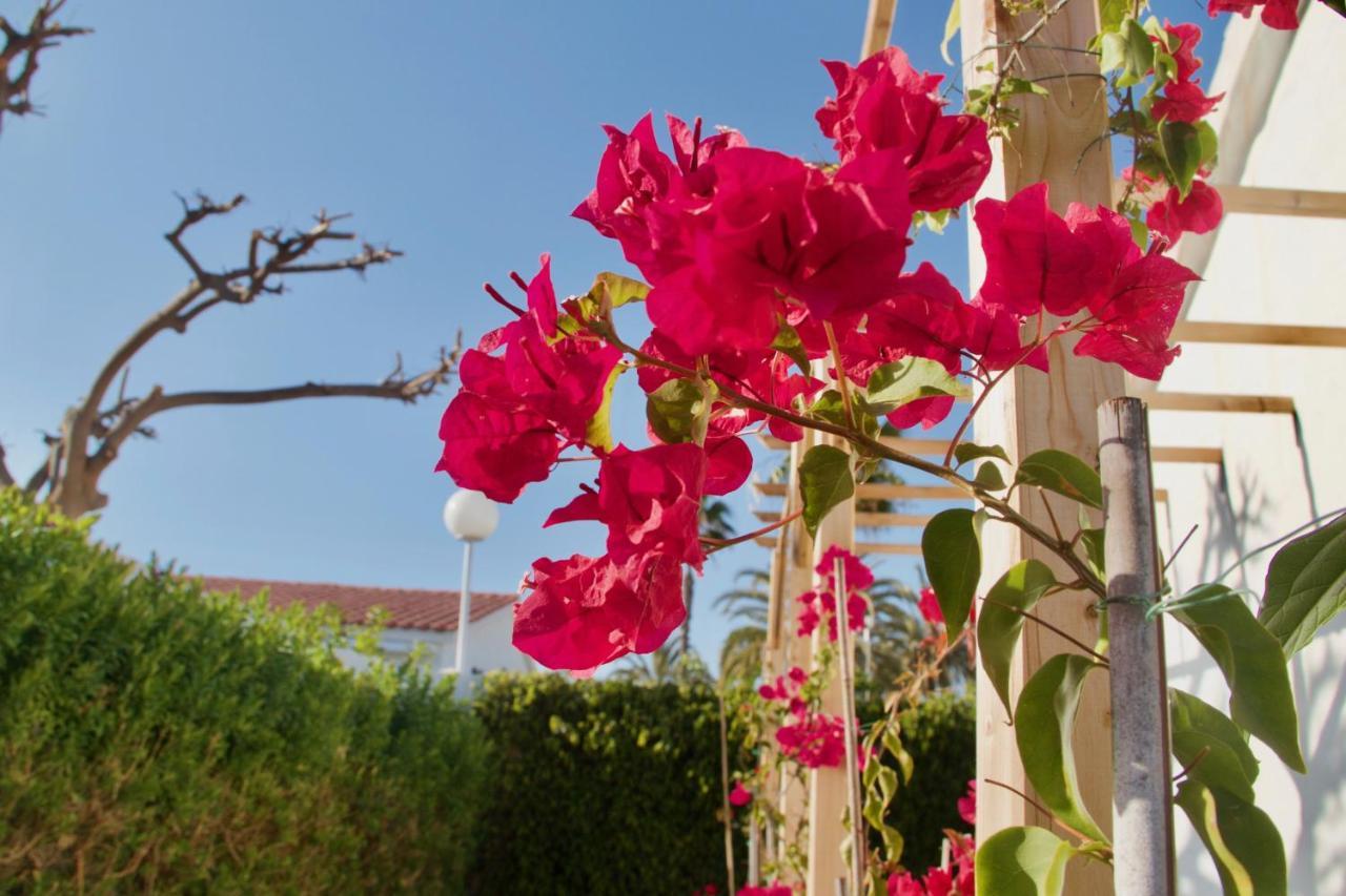 Casita Blanca Near Yumbo Apartment ปลายา เดล อิงเกลส ภายนอก รูปภาพ